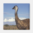 Recherche de oiseaux exotiques magnets Faune