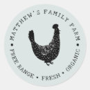 Recherche de oeufs mignons autocollants Pour tous