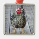 Recherche de poulet ornements Photographie