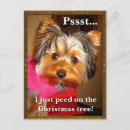 Recherche de yorkshire terrier christmas vœux cartes Dog