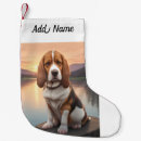 Recherche de petits bassets Animaux de compagnie