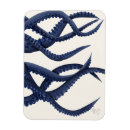 Recherche de sealife Funky