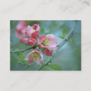 Recherche de apple cartes visite Photographe