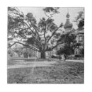 Zoek naar florida tegels Historisch