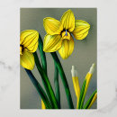 Recherche de narcisses cartes postales Fleur