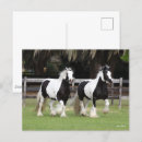Recherche de tziganes cartes postales Noir et blanc