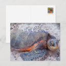Zoek naar relax briefkaarten Fotografie