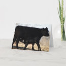Recherche de vache toutes vœux cartes Vaches