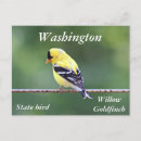 Recherche de canari Finition