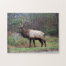 Recherche de elk puzzles Animal
