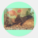 Recherche de aquariums autocollants Poissons