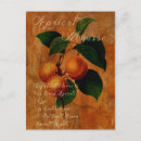 Recherche de abricots cartes postales Recette