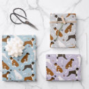 Recherche de boxe papier cadeau Chien