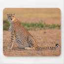 Recherche de guépard tapis souris Taches de guépard