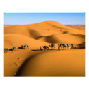 Recherche de dunes de sable posters Afrique