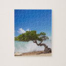 Recherche de antilles puzzles Ville