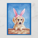 Recherche de oreilles de lapin cartes postales Chien