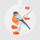 Zoek naar grappige vogels ornamenten Winter