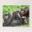 Recherche de chimpanzé puzzles Singe