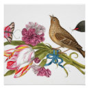 Recherche de oiseaux posters Pour elle