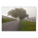 Recherche de matin brumeux Arbres