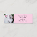 Recherche de extracteur cartes visite Chiot