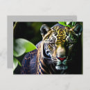Recherche de jaguars cartes postales Pour tous