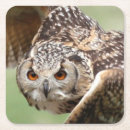 Recherche de duc dessous de verres Animal