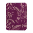 Recherche de orchidées magnets Botanique