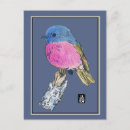Zoek naar kleurpotlood briefkaarten Vogel