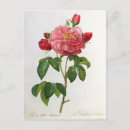 Recherche de duchesse posters Fleur