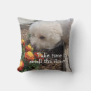 Recherche de bichon décoration coussins Lancer
