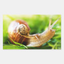 Recherche de escargot français autocollants Limace
