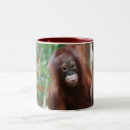 Recherche de orangs outans tasses Orang outan