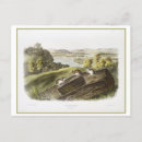 Zoek naar muis briefkaarten Landschap