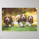 Recherche de animal photography art Dog
