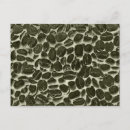 Recherche de cacao cartes postales Rétro