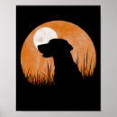 Zoek naar silhouet posters Vis