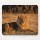 Recherche de le botswana tapis souris Lion