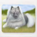 Recherche de deutscher tapis souris Chien
