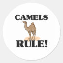 Zoek naar kamelen stickers Dier