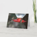 Recherche de colibri bleu vœux cartes Vert