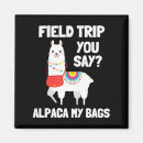 Zoek naar alpaca magneten Plezier