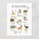 Zoek naar kangoeroe x briefkaarten Koala