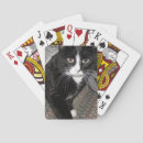 Recherche de chaton blanc jeux de cartes Tuxedo