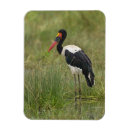 Recherche de cigogne magnets Animal