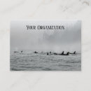 Recherche de orques cartes visite Baleines