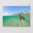 Recherche de tortue mignonne cartes postales Plage