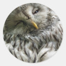 Recherche de oiseau de proie autocollants Animaux