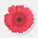 Recherche de motif graphique maison magnets Floral